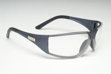 MSA Safety 10070917 - Easy-Flex Spectacles, Clear, Indoor